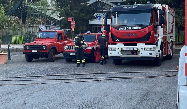 Otto incendi in Sicilia, intervenuti i vigili del fuoco