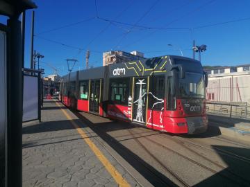 Messina, domani bus e tram gratuiti per tutti